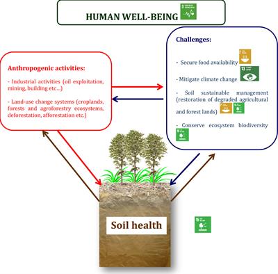 How hydrogen sulfide deposition from oil exploitation may affect bacterial communities and the health of forest soils in Congolese coastal plains?